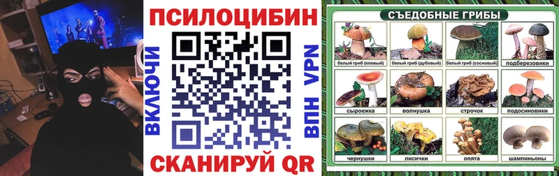 blacksprut вход  Луховицы  Псилоцибиновые грибы Magic Shrooms  купить закладку 